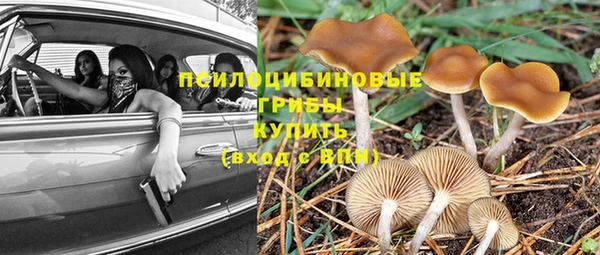 бутират Алексин