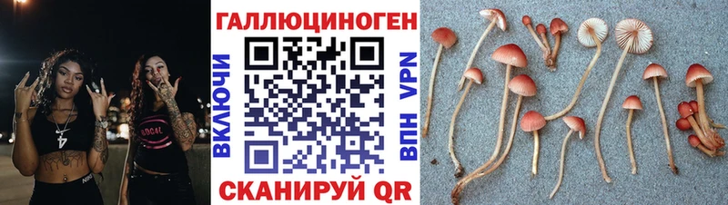 Галлюциногенные грибы MAGIC MUSHROOMS  Солнечногорск 